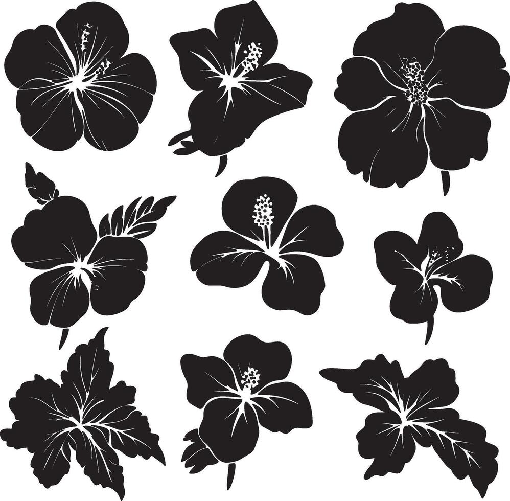 set of hibiscus flowers silhouette silhouette set vector