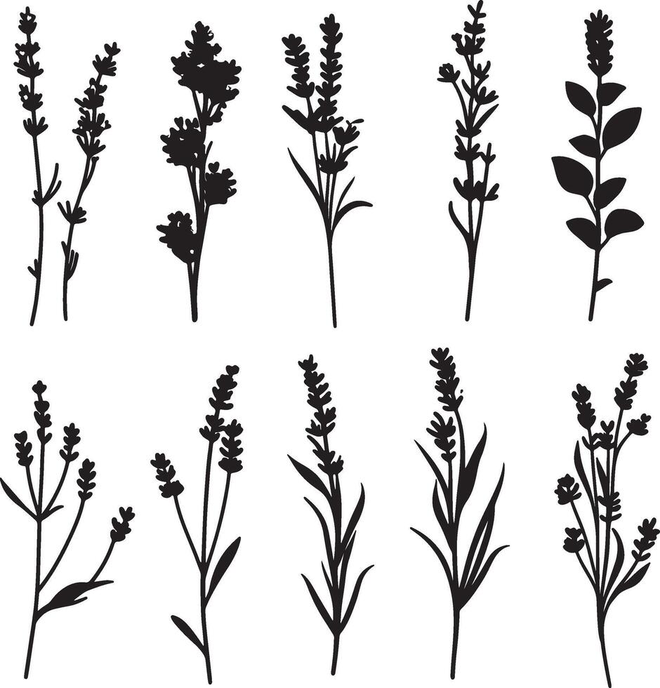set of black and white silhouettes of different types of herbs vector