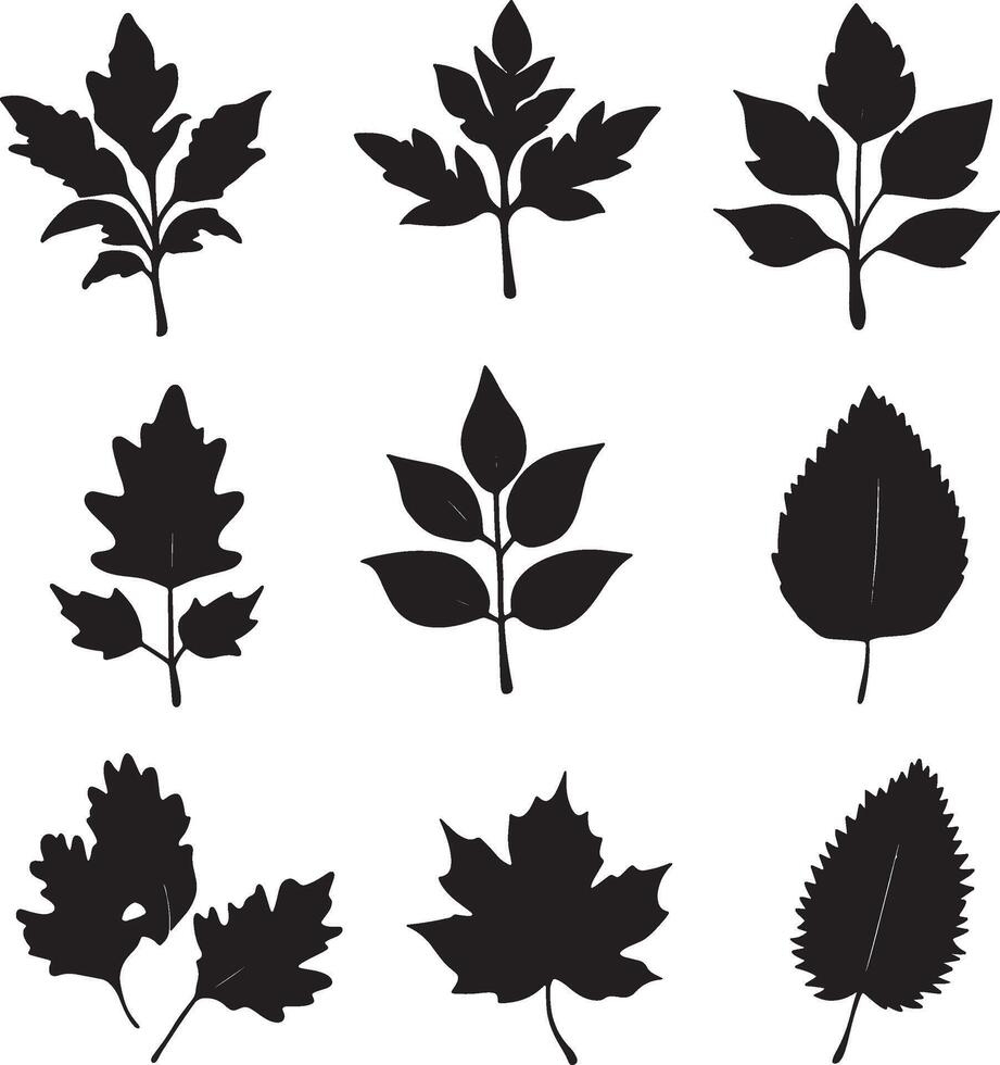 Dark leaf silhouettes on a light backdrop. vector