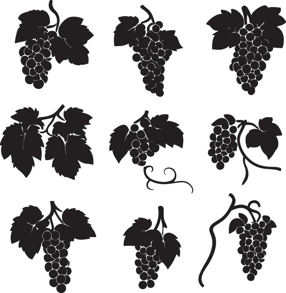 black grapes on a branch set of silhouettes vector