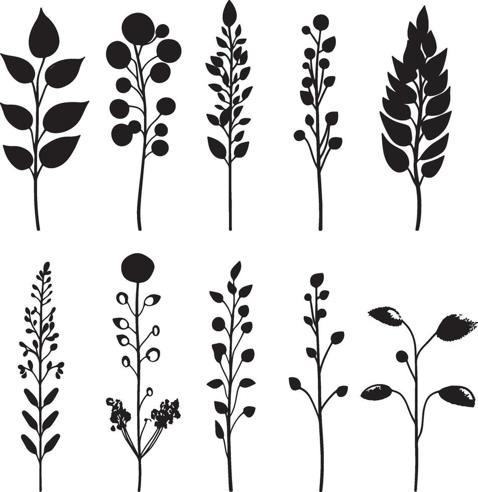 A collection of black and white outlines of plants and blossoms. vector