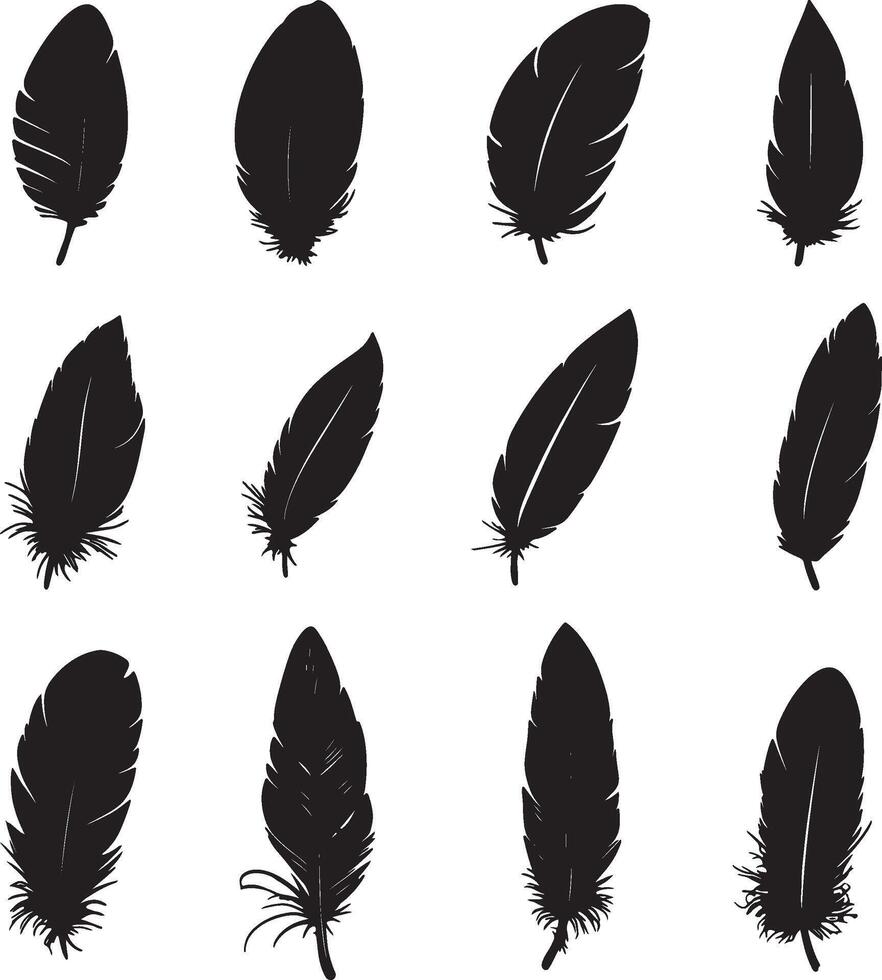 A collection of feather silhouettes isolated on a white backdrop. vector