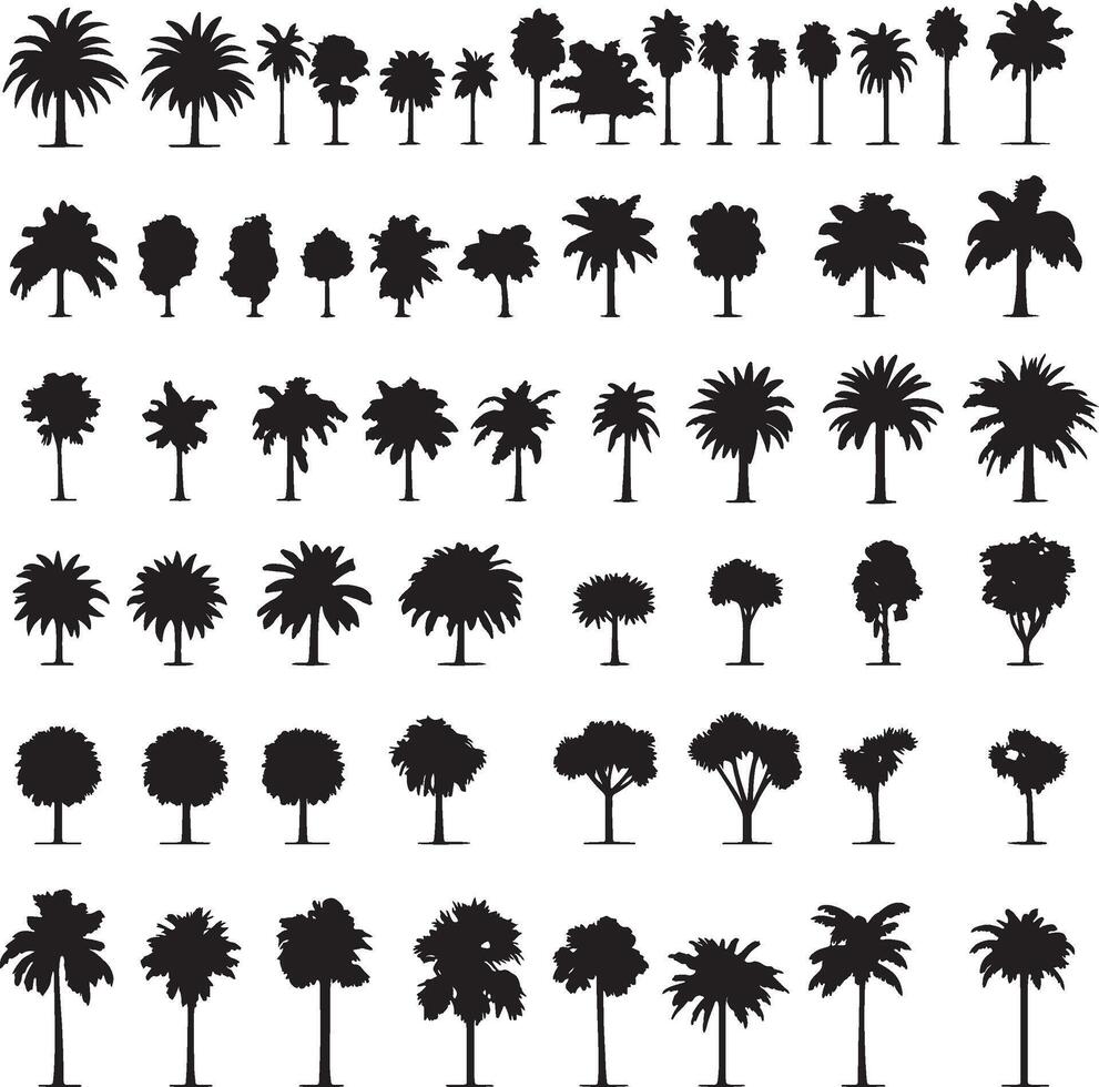 a collection of palm trees and trees vector