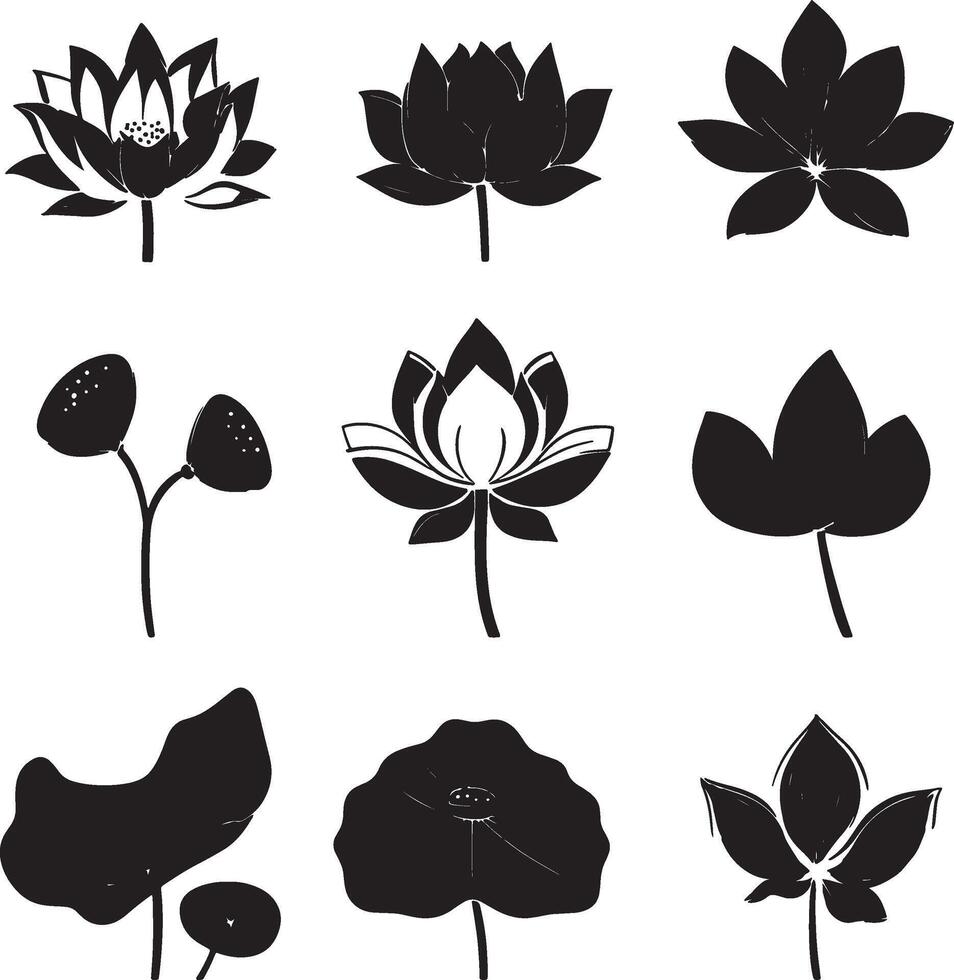 black and white lotus flowers set vector