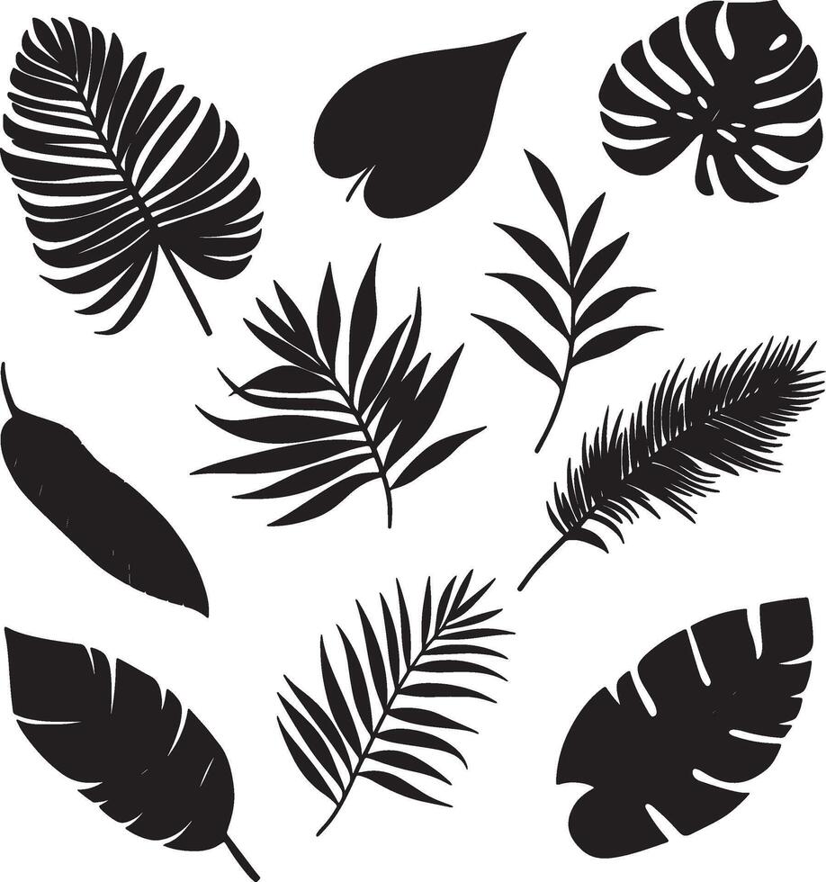 A set of various tropical leaf designs. vector