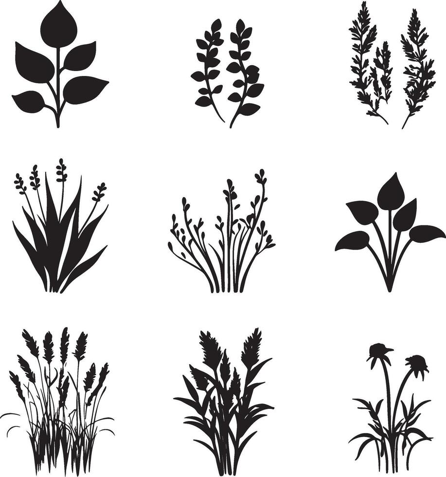 black and white silhouettes of plants and flowers vector