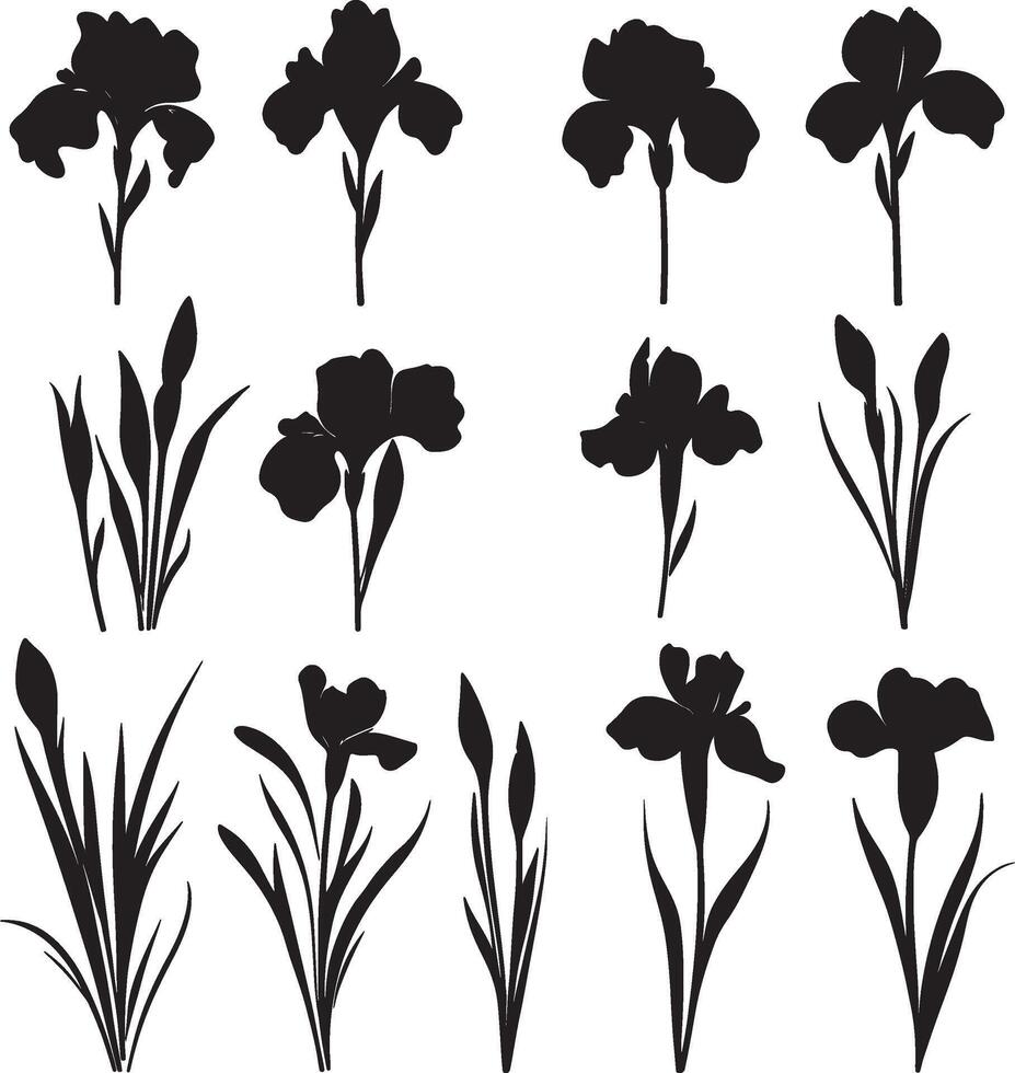 A set of monochrome outlines featuring irises. vector