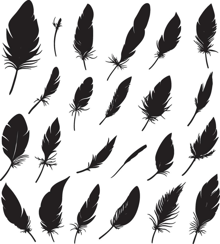 Various feather outlines represented in format. vector