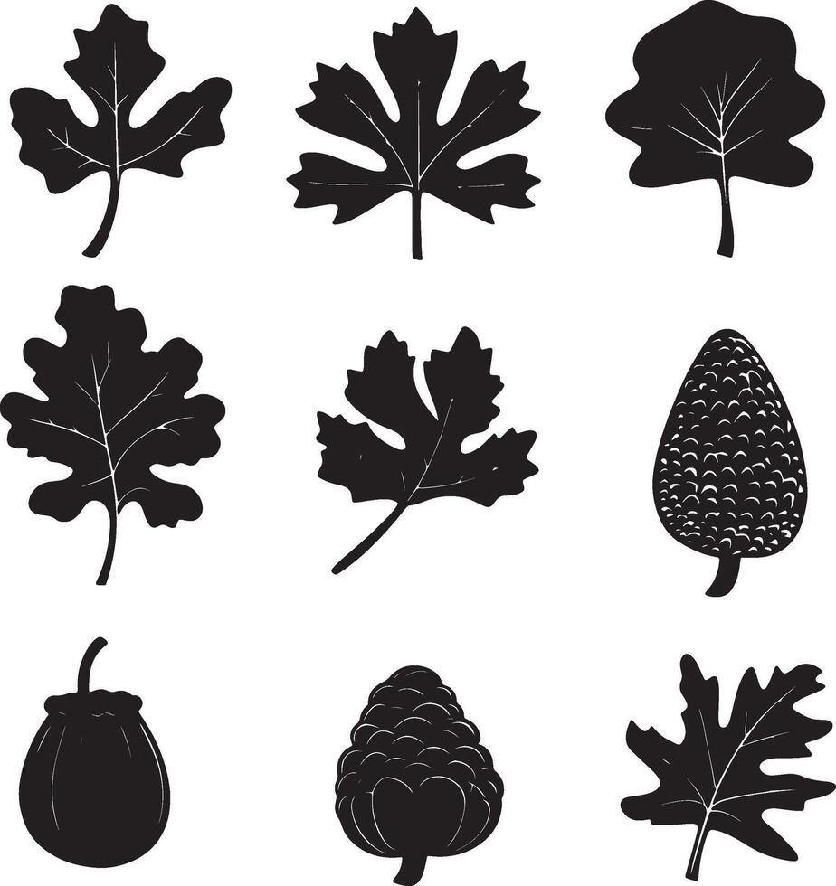 black silhouettes of various leaves and acorns vector