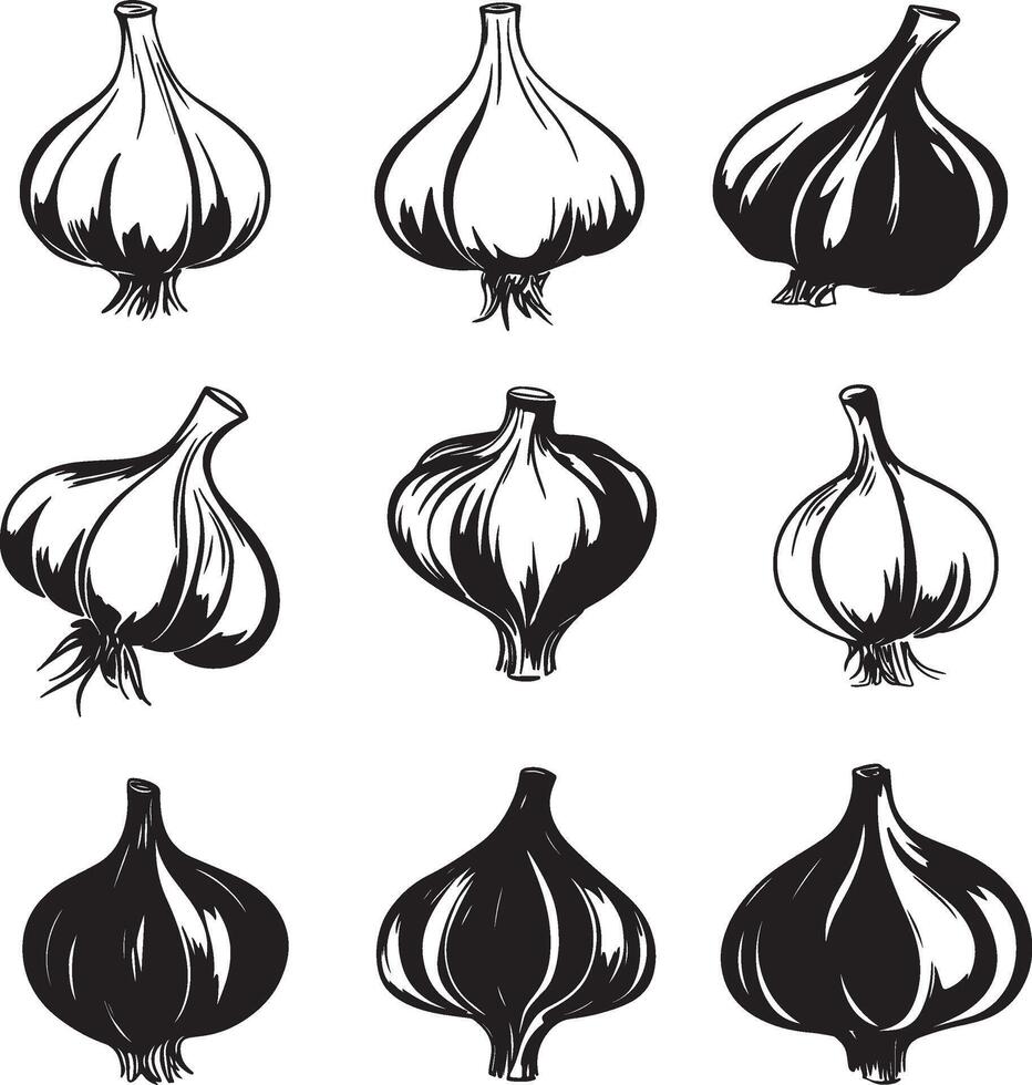 An assortment of garlic types set against a light backdrop. vector