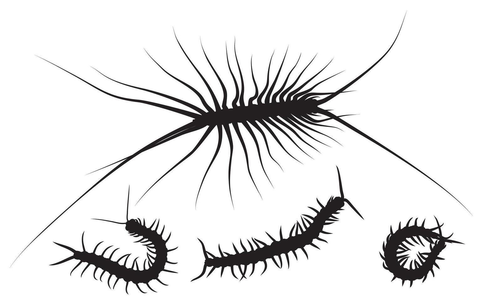 A set of silhouettes of centipedes. vector