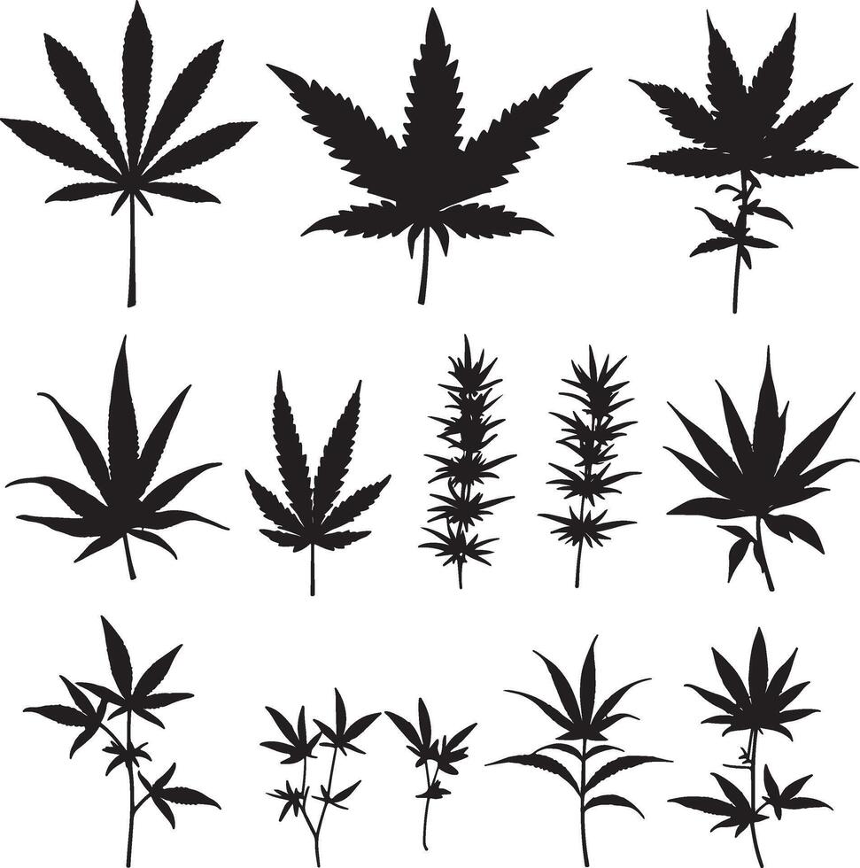 marijuana leaves silhouettes set vector