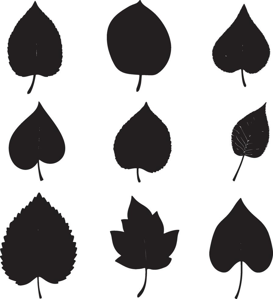Dark leaf silhouettes on a white backdrop. vector