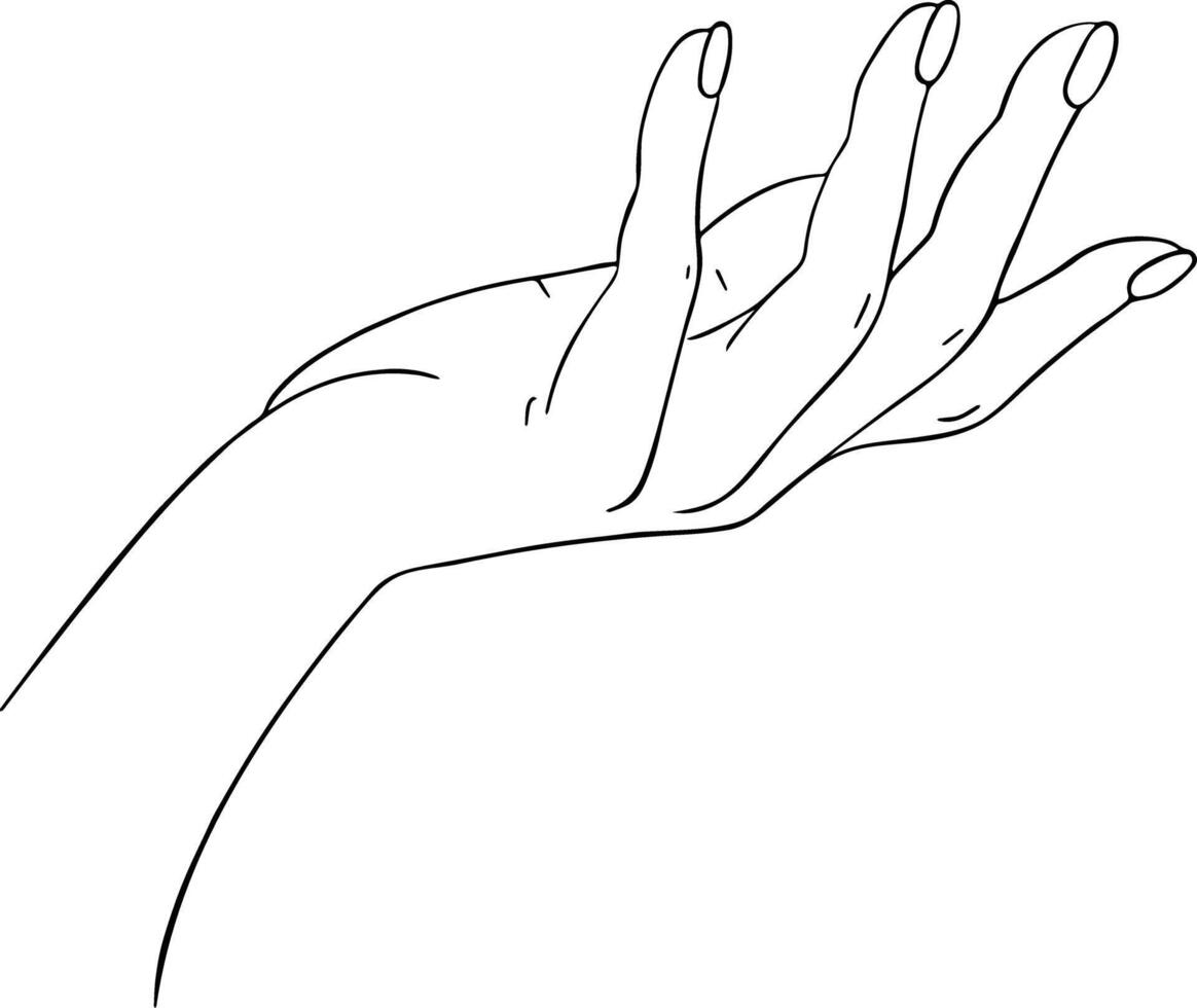 Outline female hand vector
