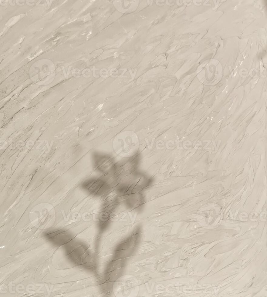 Abstract background with flower shadow. A symbol of interaction, creativity, inspiration and natural beauty. photo