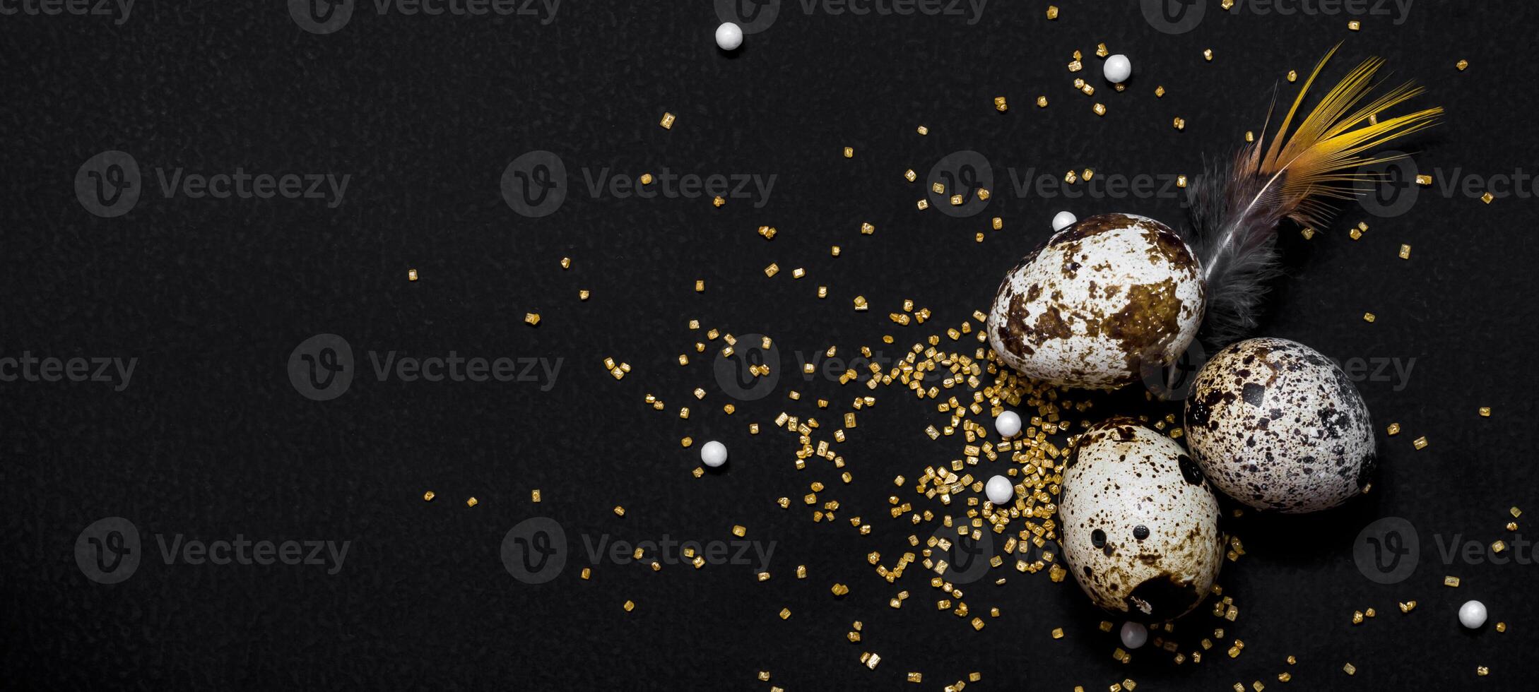 Quail eggs and feathers on black background. Moody easter decor, banner format photo