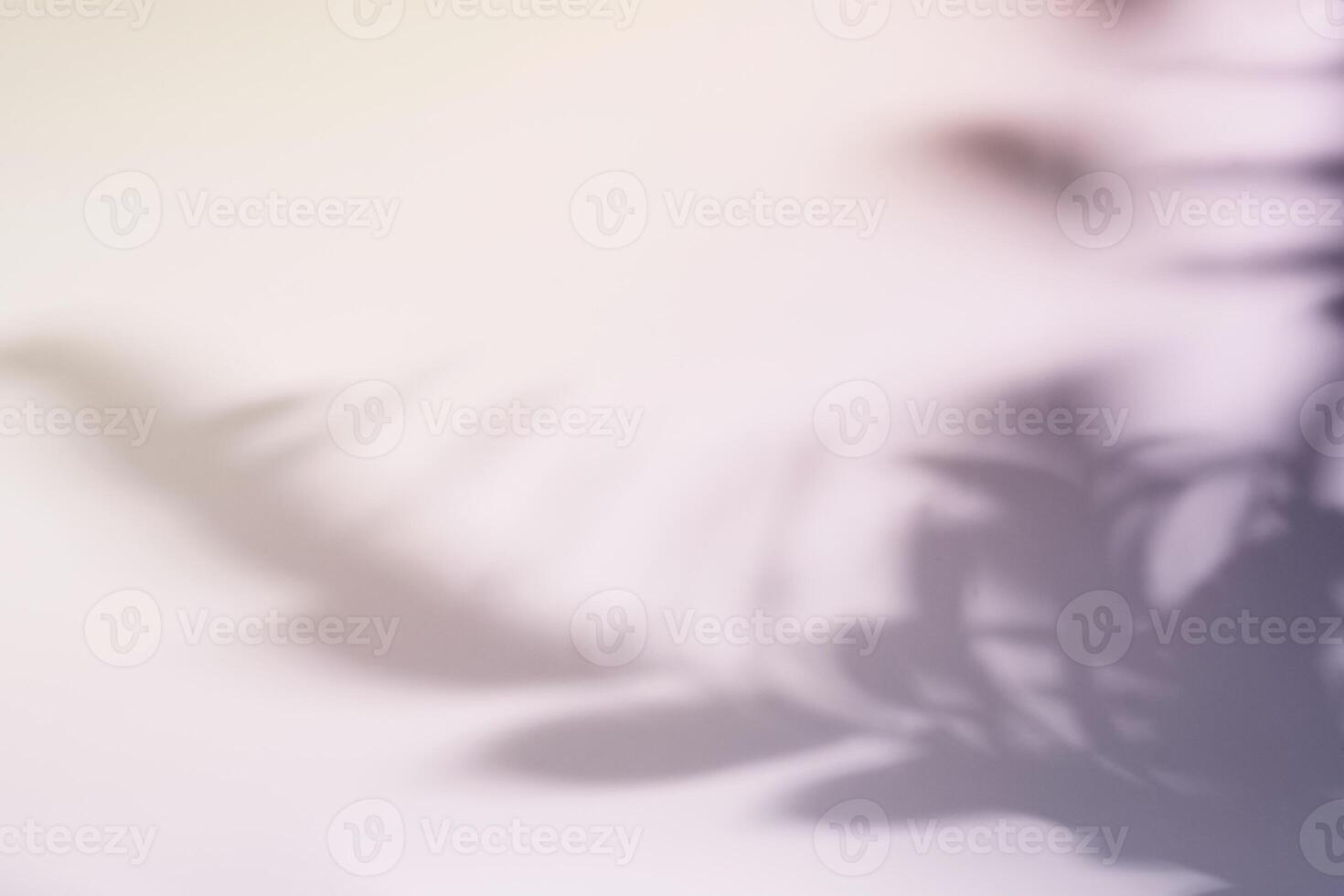 Natural leaves shadow on gradient paper background. Abstract lilac floral backdrop. Soft light photo