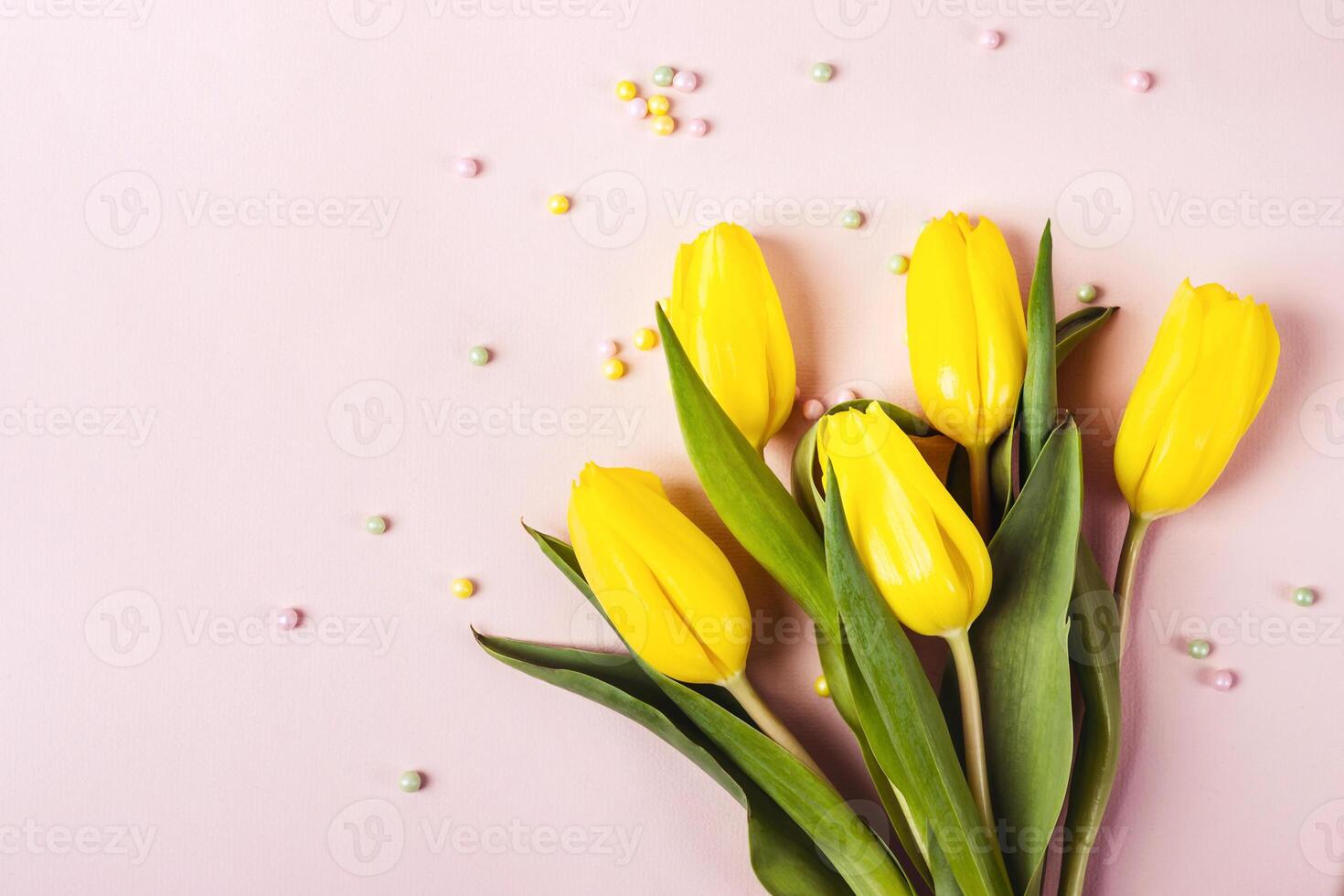 Beautiful spring yellow tulip flowers on pastel pink background for greeting message. Holiday mock up photo