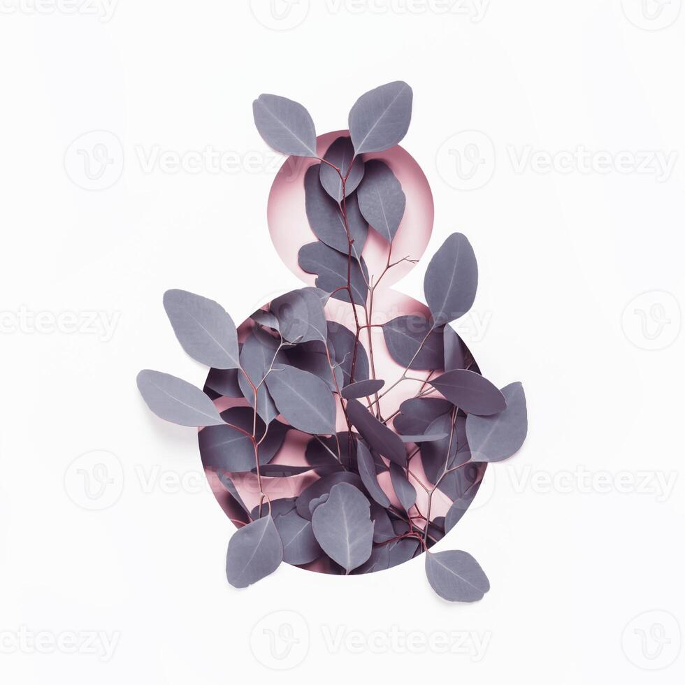 March 8th concept. Number 8 made of hole and eucalyptus branches. Greeting Card Women's Day on March 8th photo