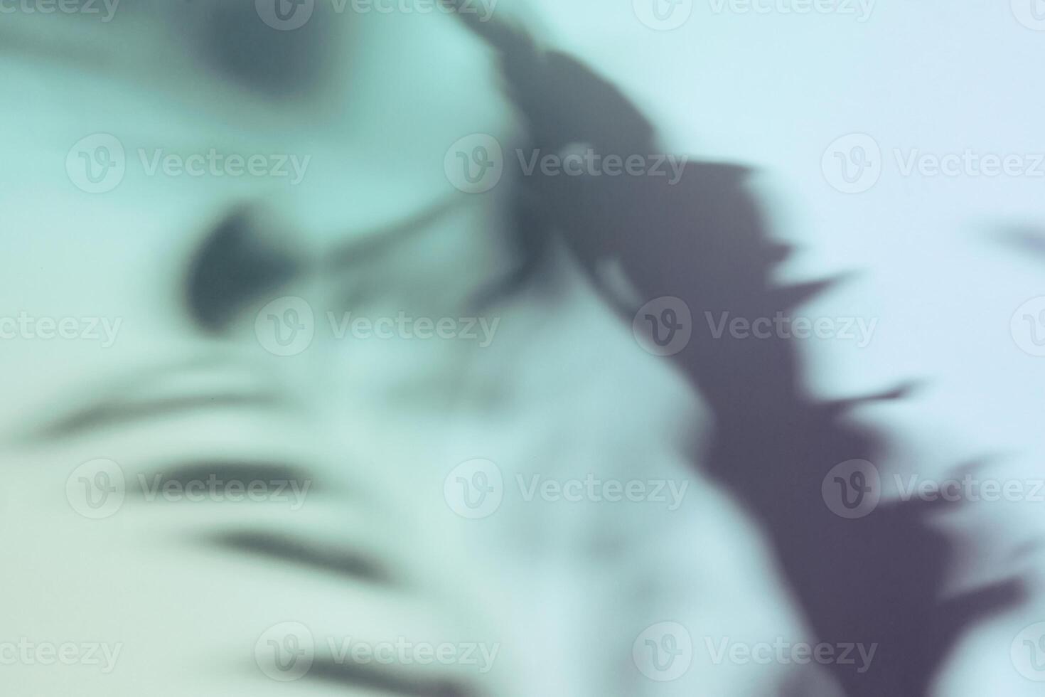 Natural shadow on gradient paper background. Abstract blue and mint floral backdrop. Soft light photo