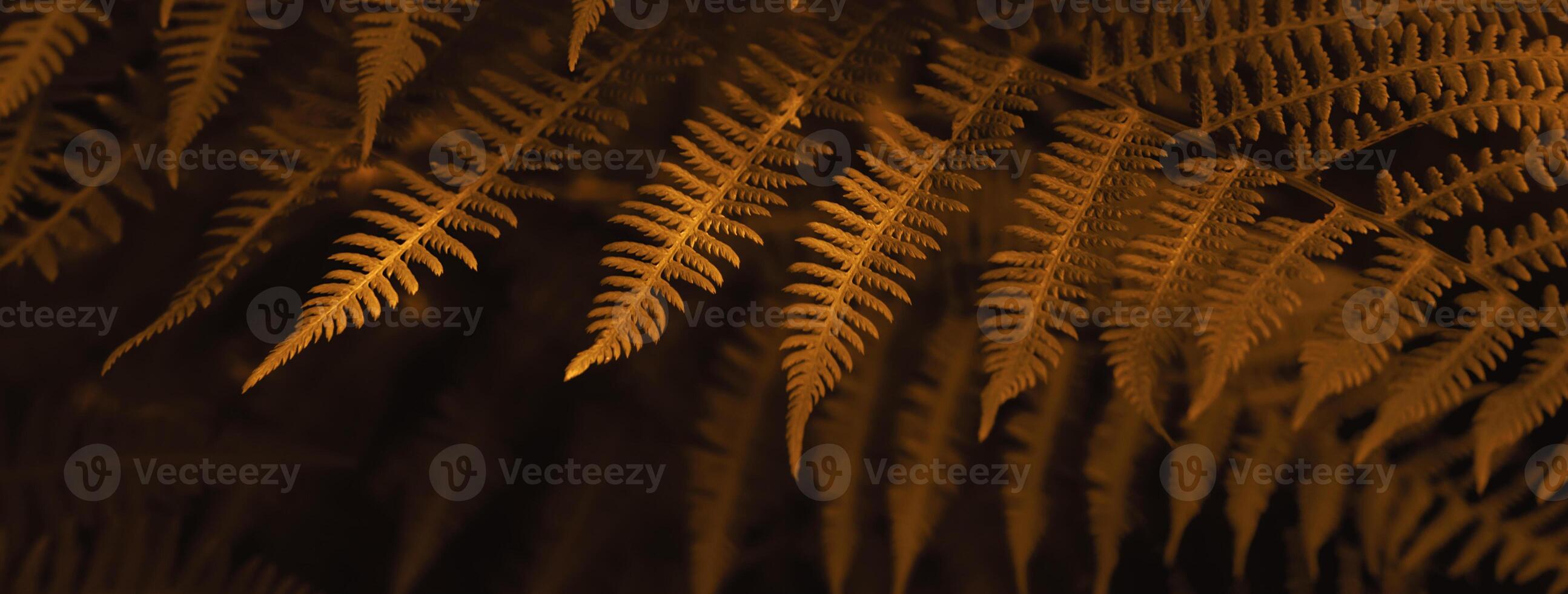 Natural autumn blurred background of brown fern leaves. Selective focus, banner format photo