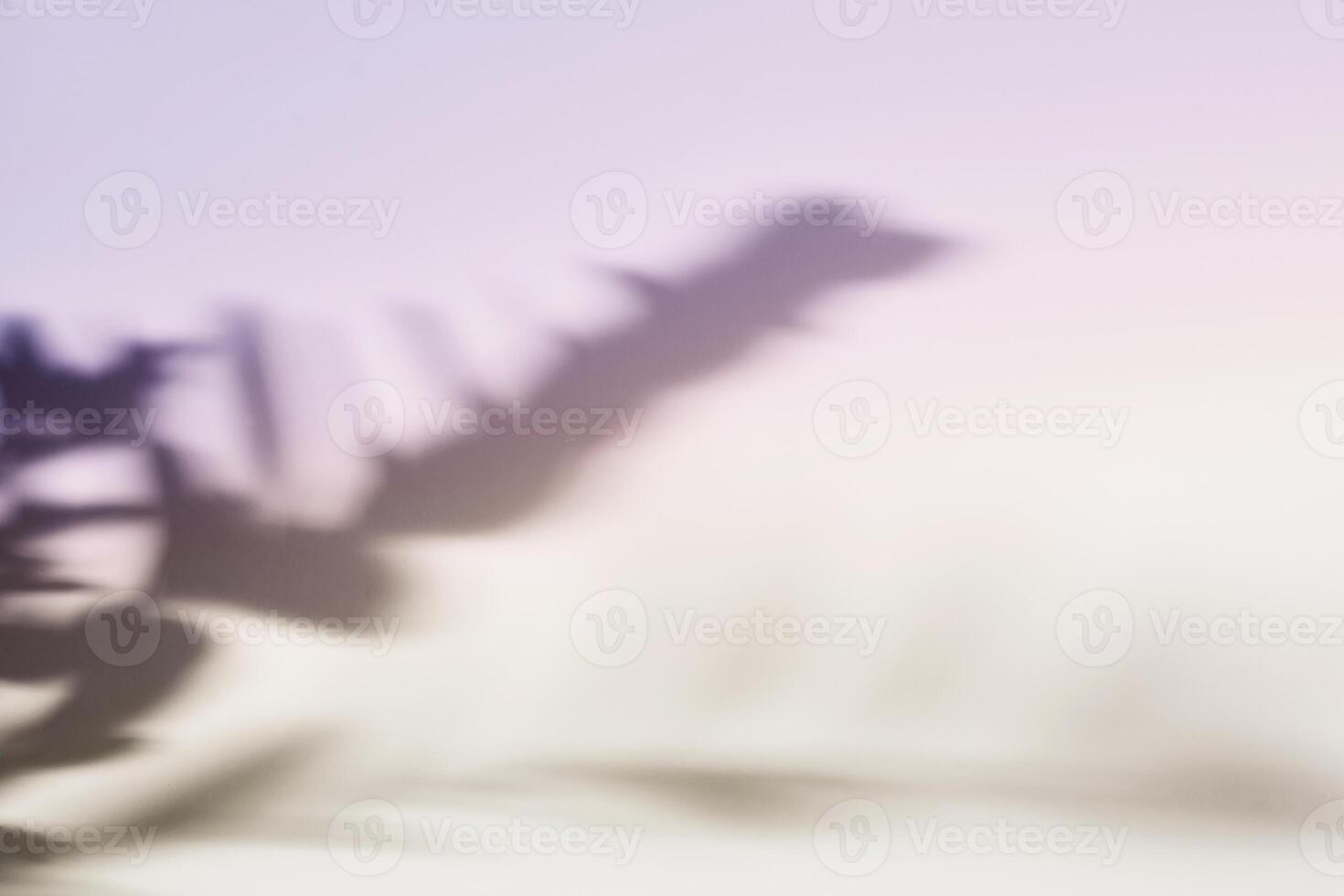 Natural shadow on gradient paper background. Abstract lilac floral backdrop. Soft light photo