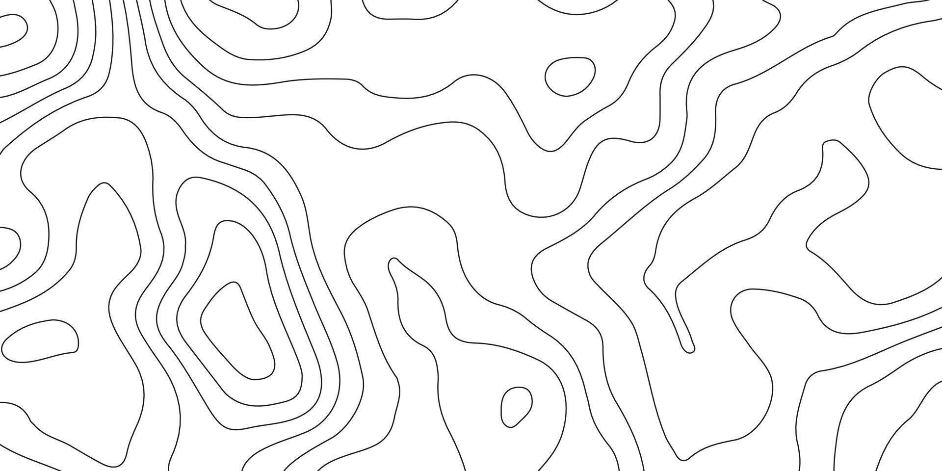 Abstract Terrain Contour Lines on White Background vector