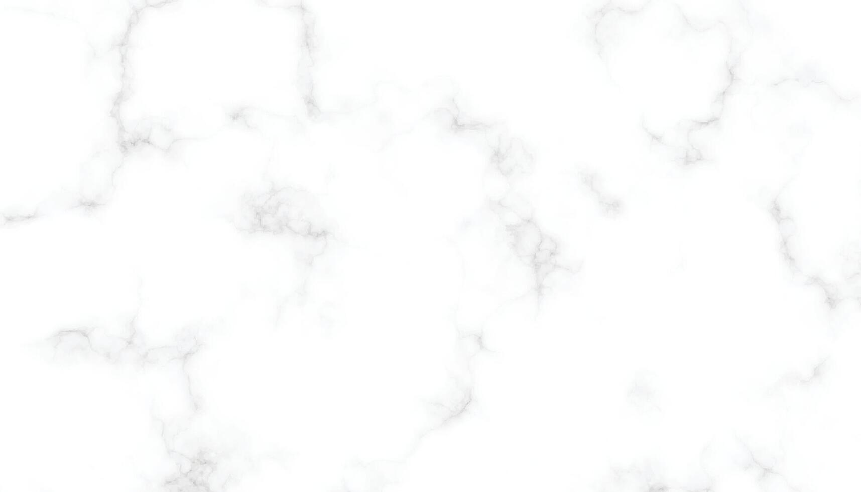 White Marble Texture. Seamless Background for Design and Decor vector