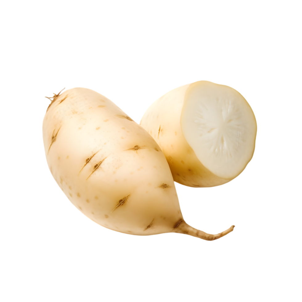 Fresh jicama root harvest farm field food photography natural lighting close-up nutritional benefits png