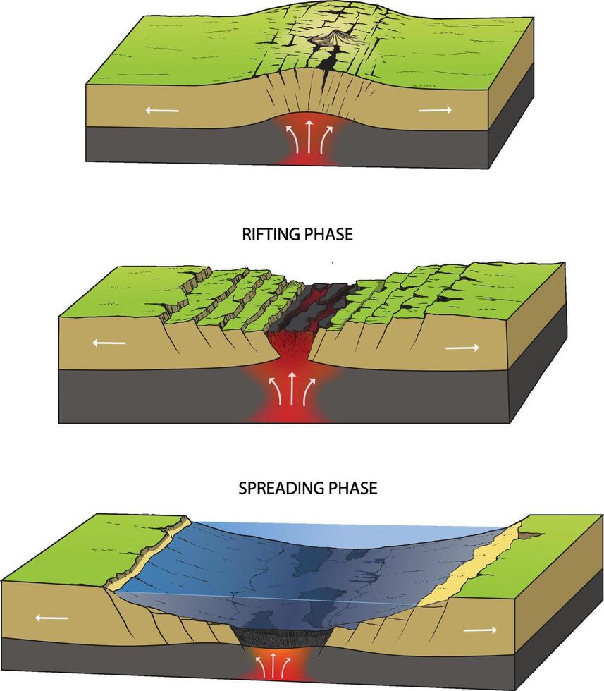 illustration of continental rifting phase diagram vector