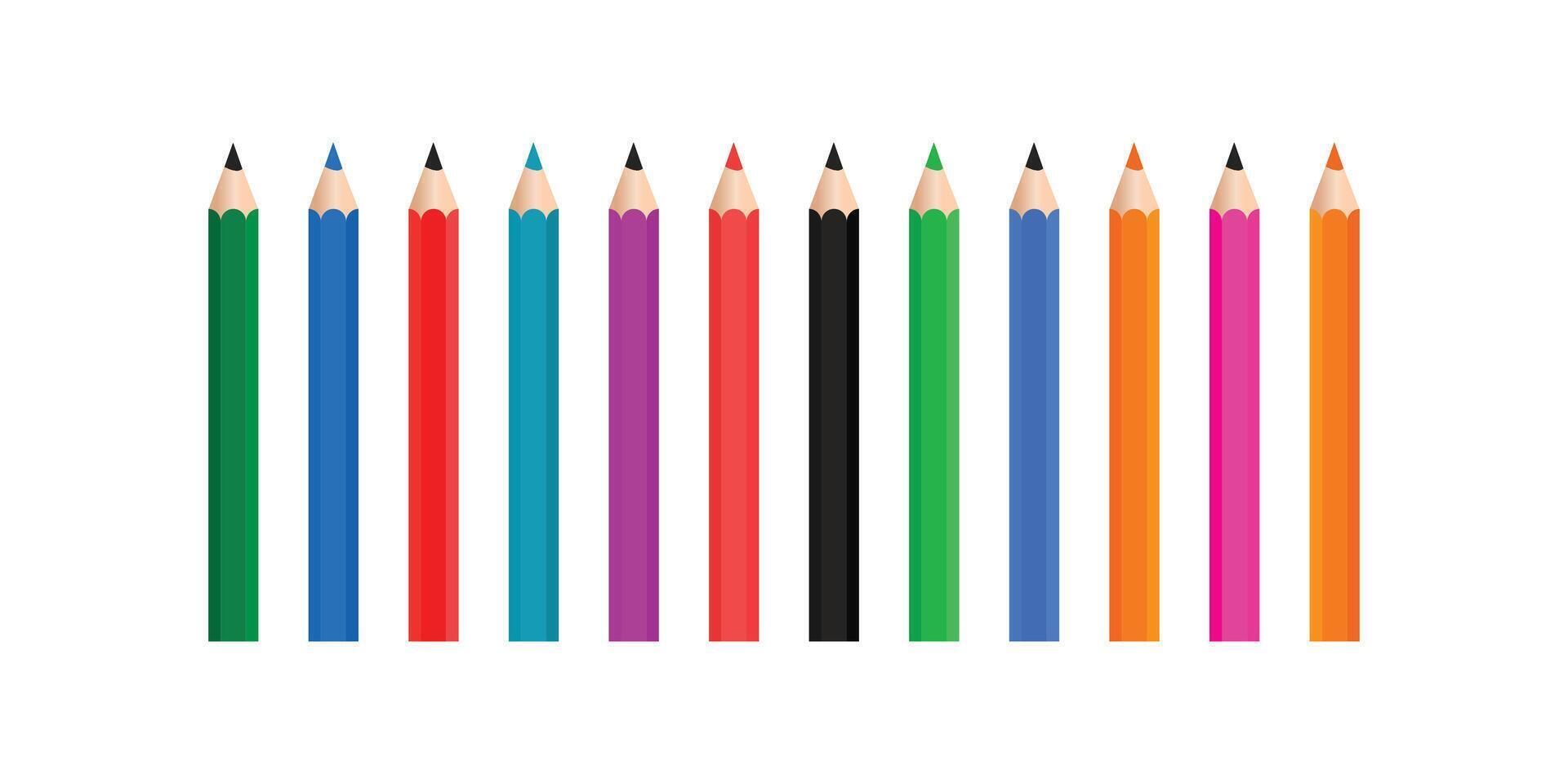 Colorful Pencils Arranged in a Row on White Background. vector