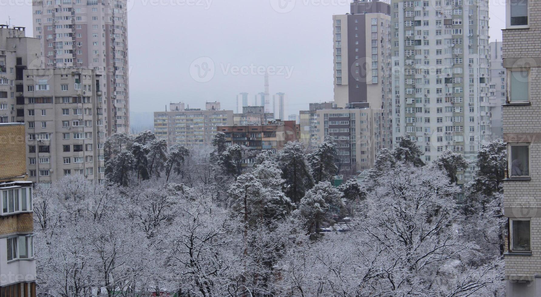 Cityscape With Pine Park Between Multi Storey Apartments At Winter Day After Snowfall photo