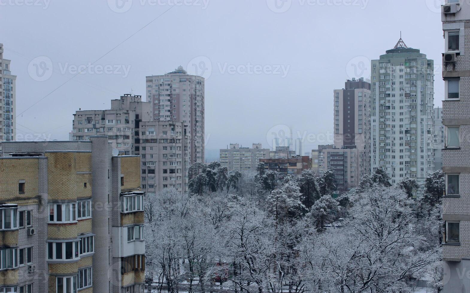 High-rise residential buildings around a green park with pine trees covered with snow photo