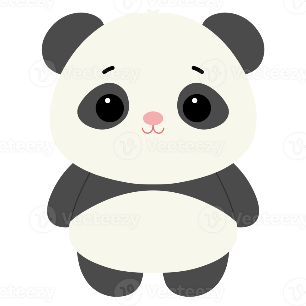 Cute panda animal illustration png