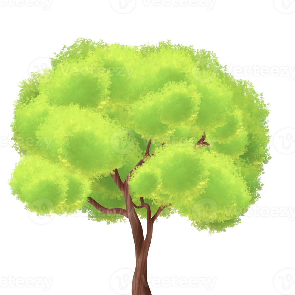 Green tree illustration png
