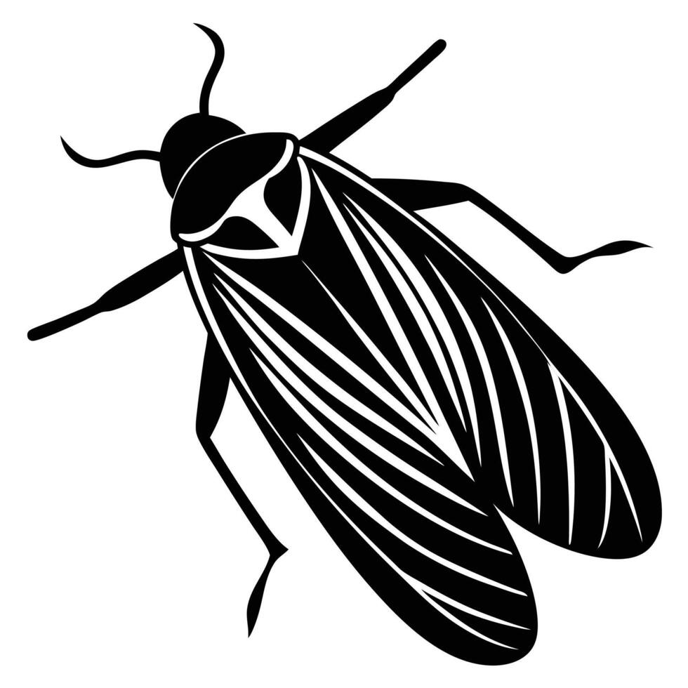 A black and white silhouette of a cicada vector