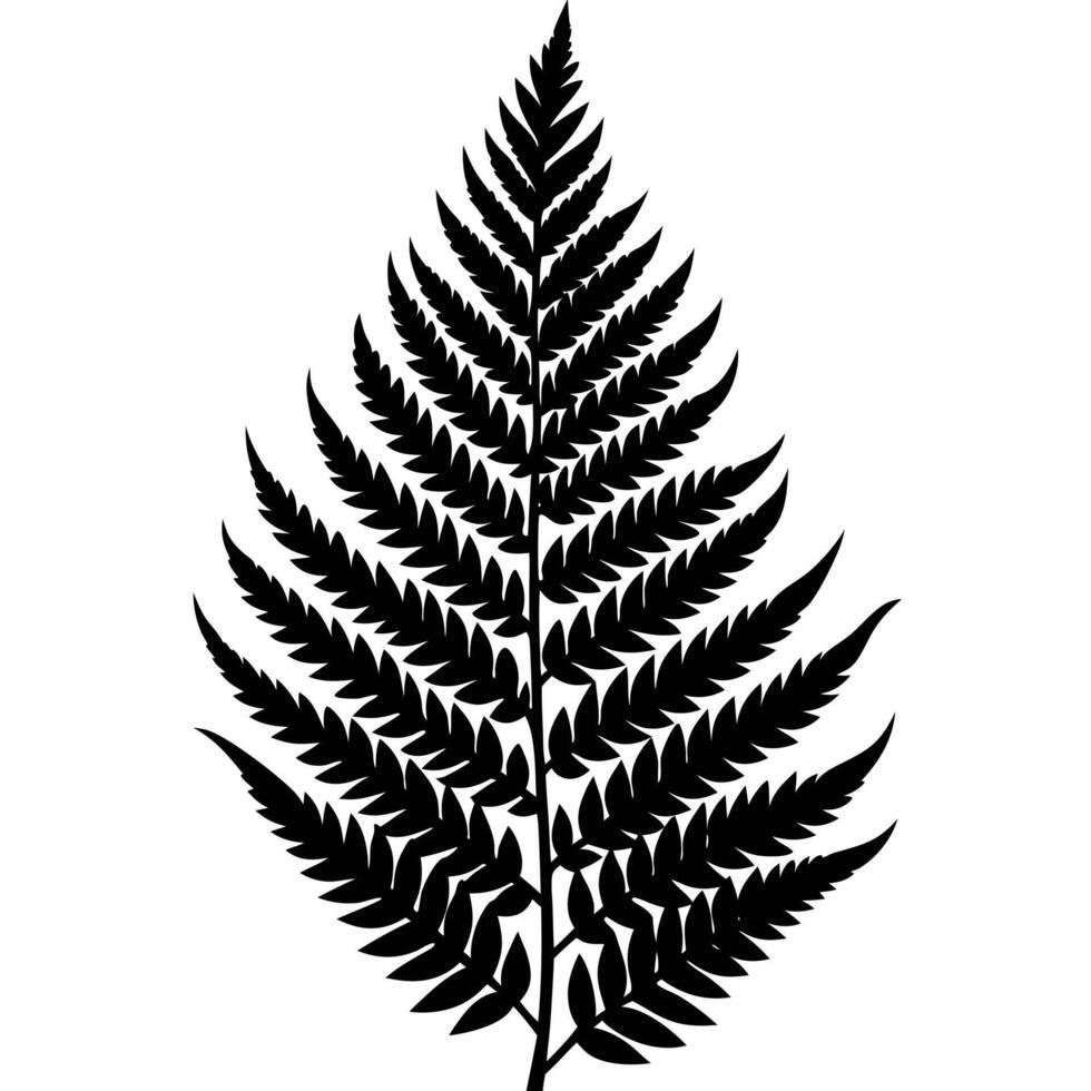 A black and white silhouette of a fern leaf vector