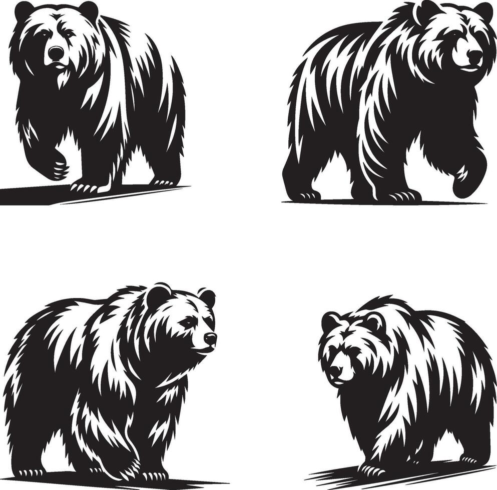 Four Bear Illustrations set vector
