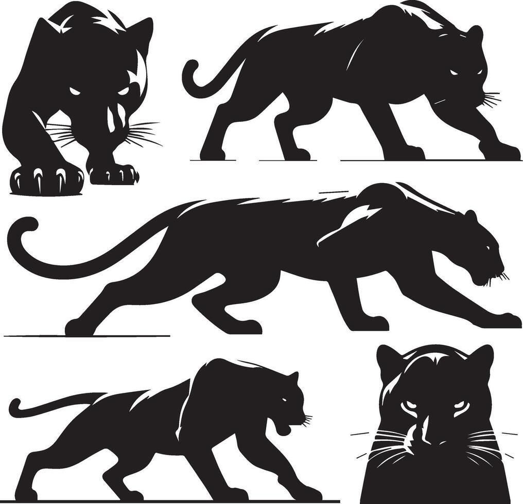 Collection of Panther Silhouettes vector