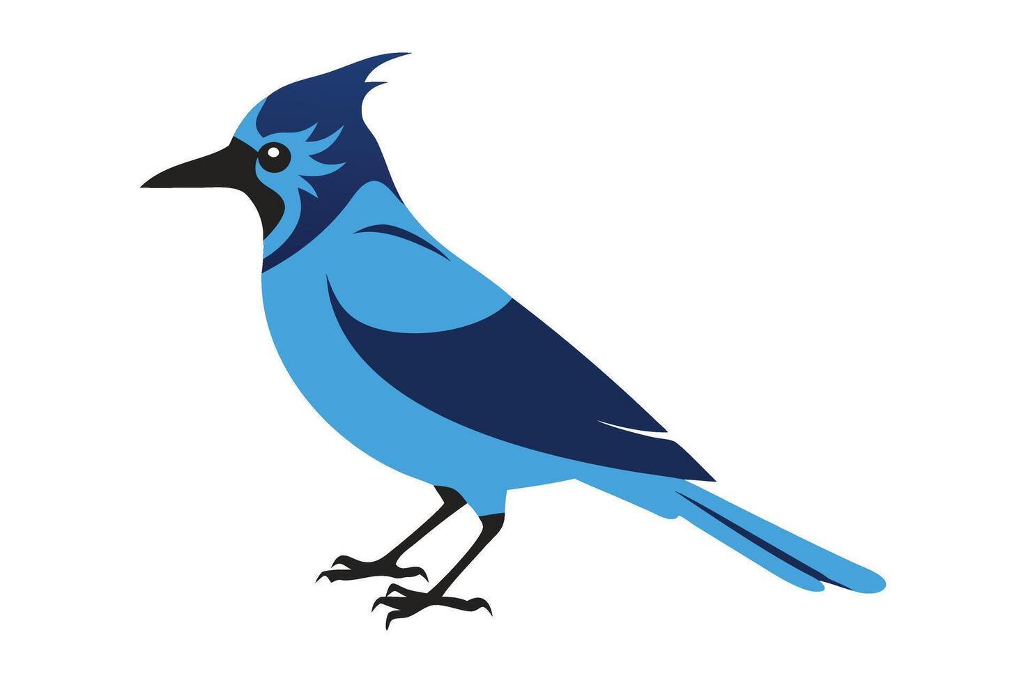 Vibrant Illustration of a Blue Jay vector