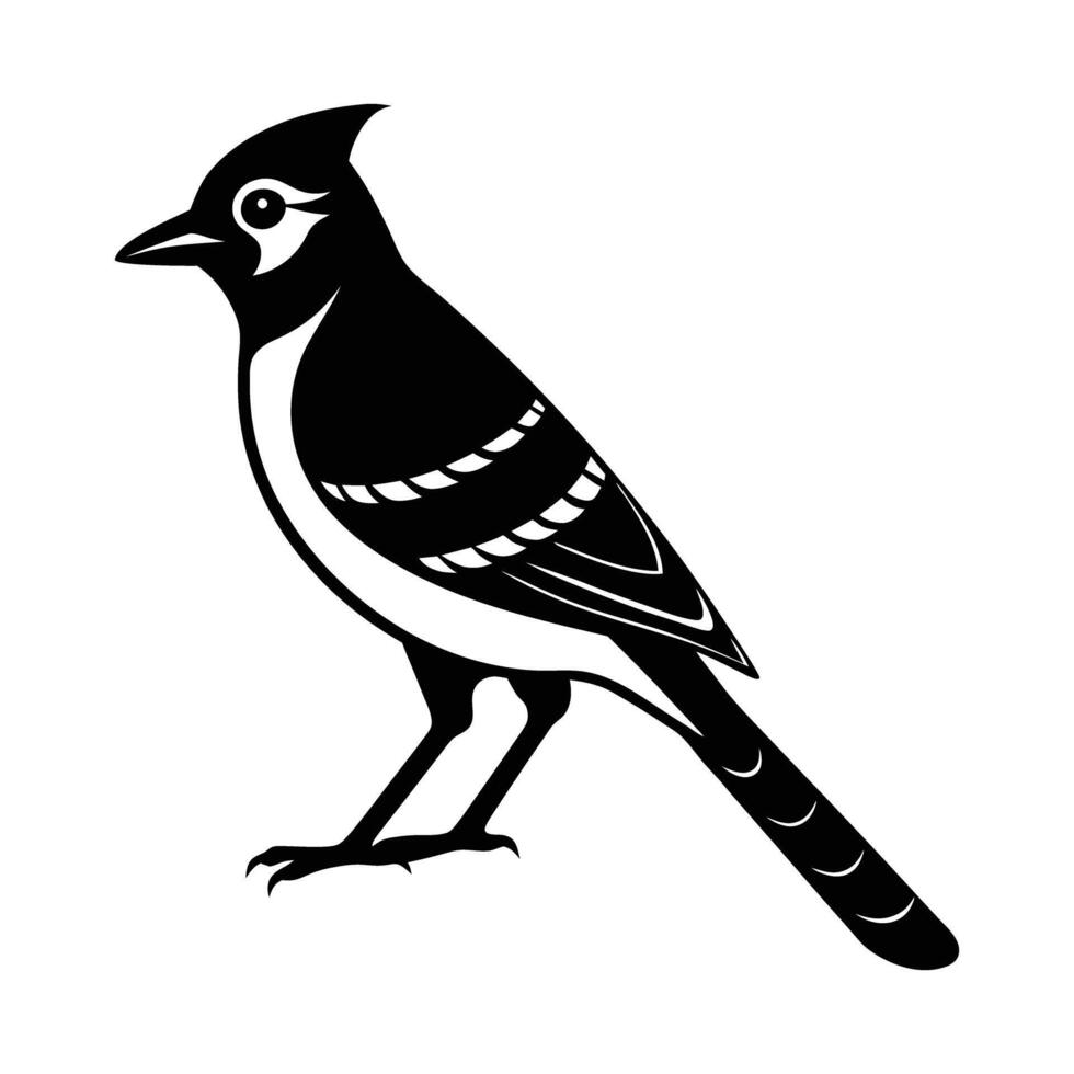 Elegant Black and White Silhouette of a Blue Jay vector