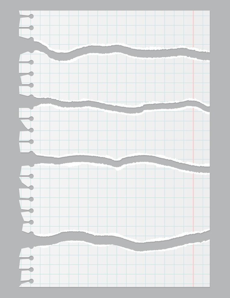 Torn Realistic notebook squared paper sheet. Illustration of torn blank page with uneven texture edges. Damaged letter, document mockup. vector
