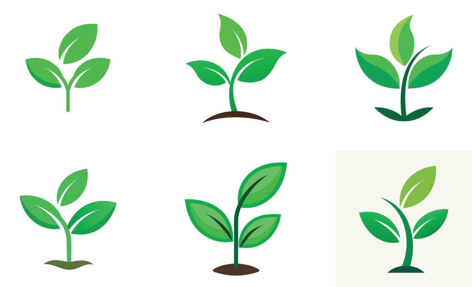 illustrations of growing plants tree vector