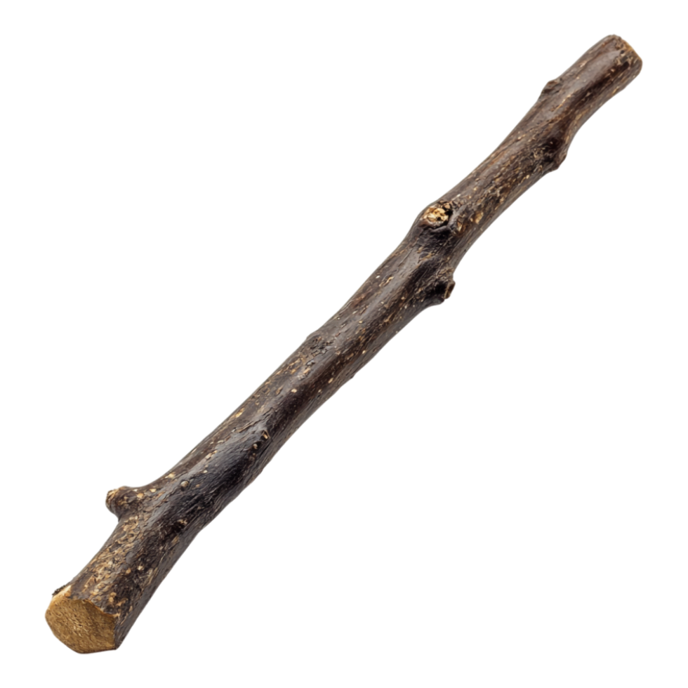 Bone Biscuits for Pet Against Transparent Background png