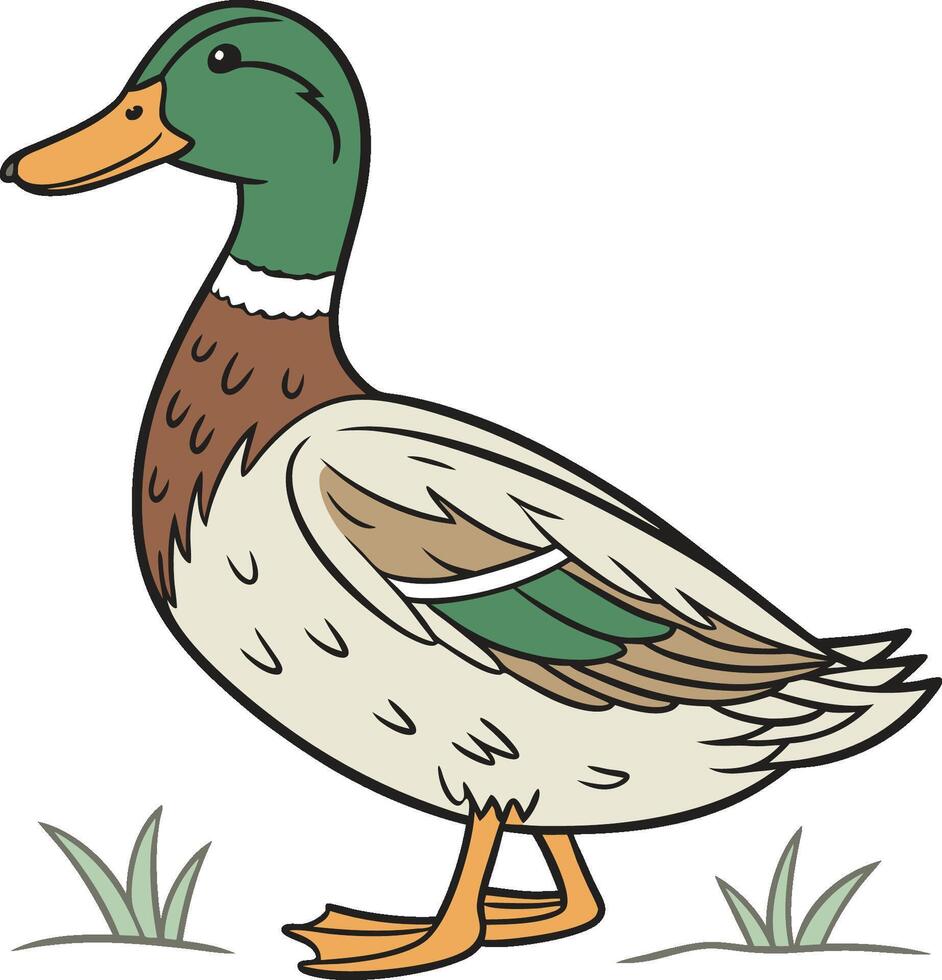 A cartoon duck standing in the grass vector