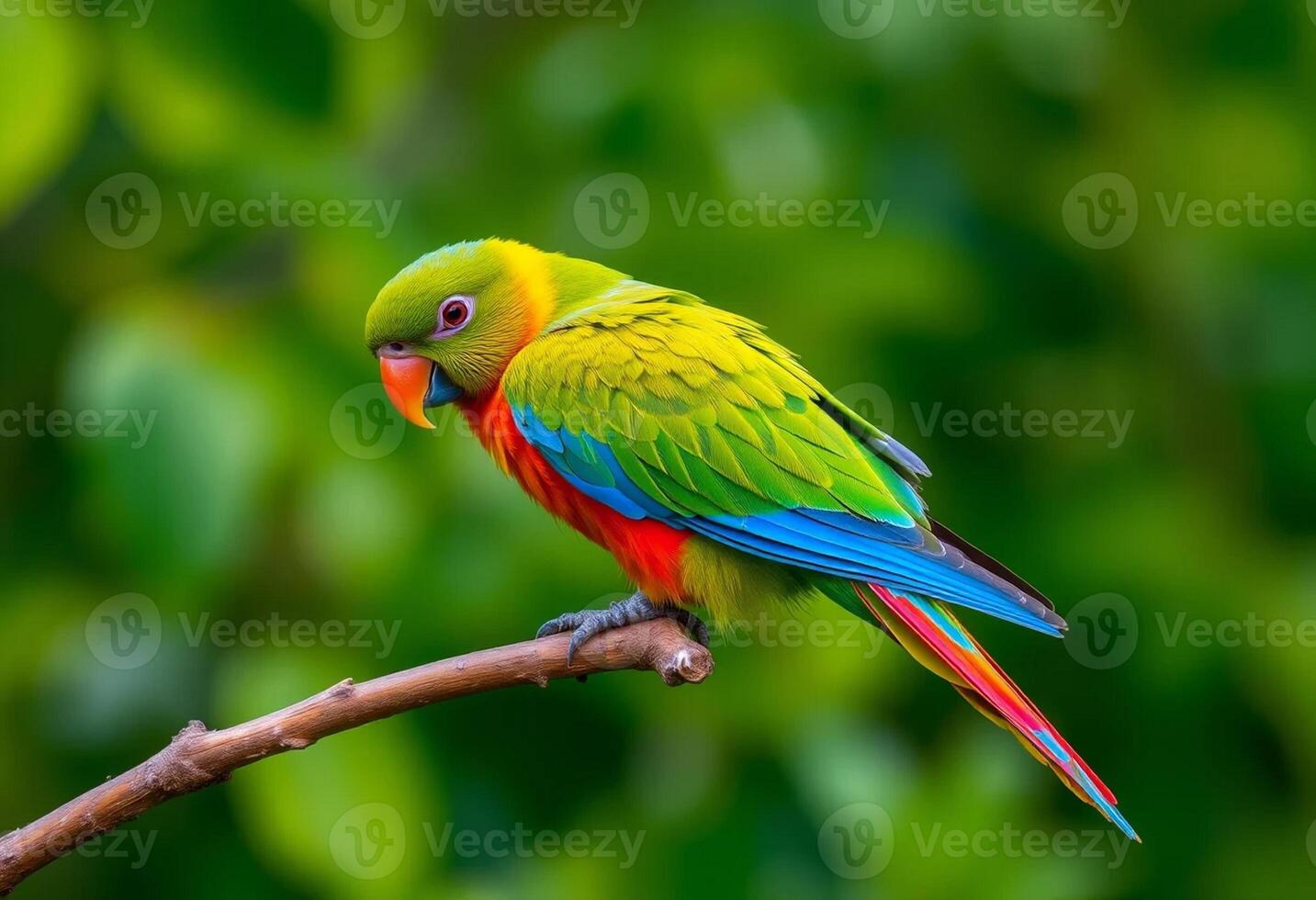 Colorful Parrot Perched on a Branch photo