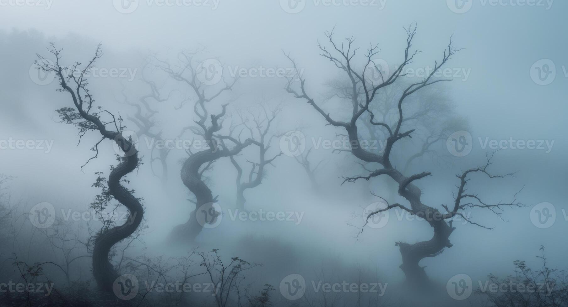 Eerie branches stretching across foggy landscape nature atmospheric viewpoint photo