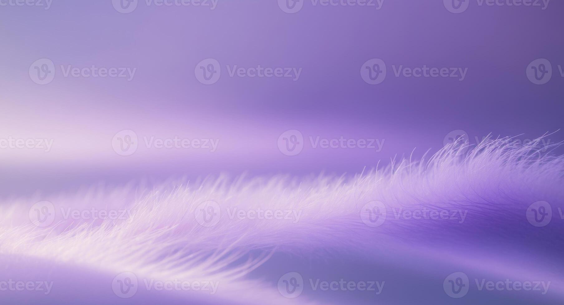 Purple blurred background with a gradient light rays and shadow. photo