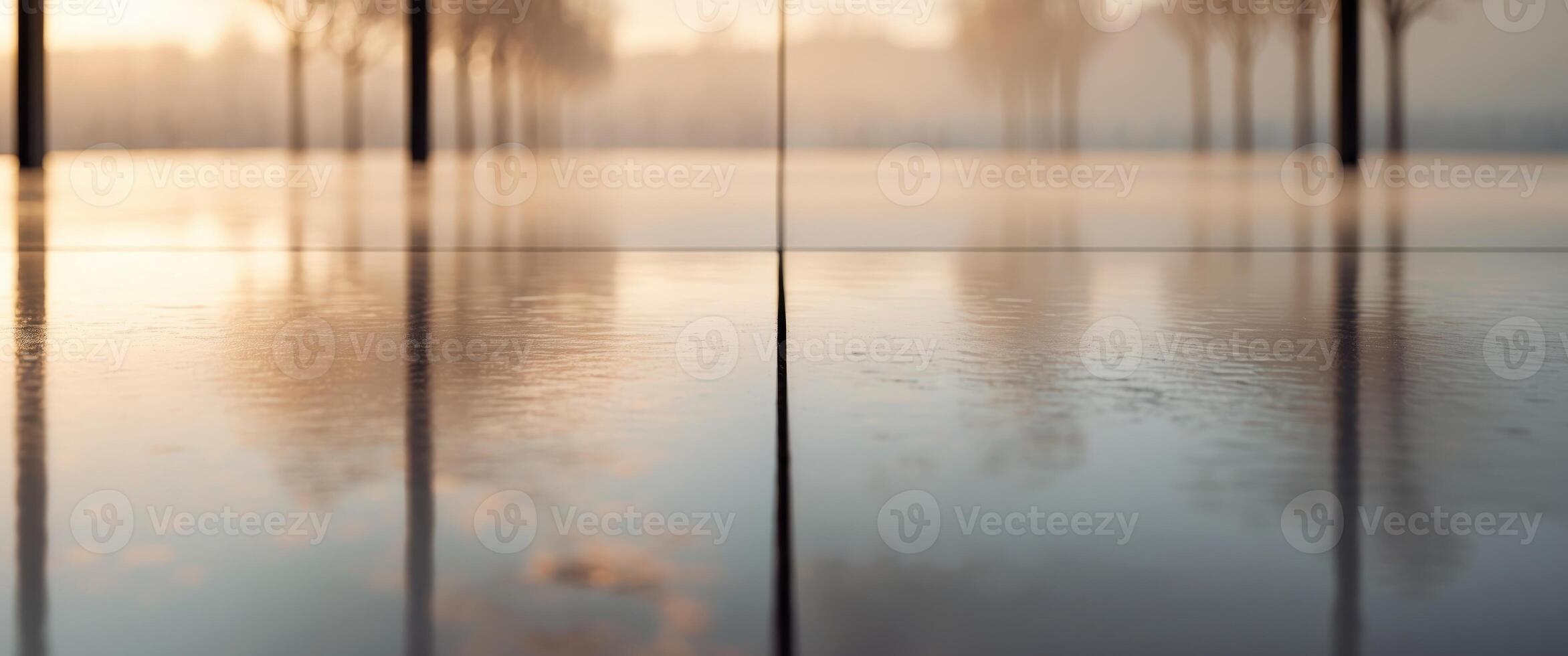 A reflection of trees in a watery area photo