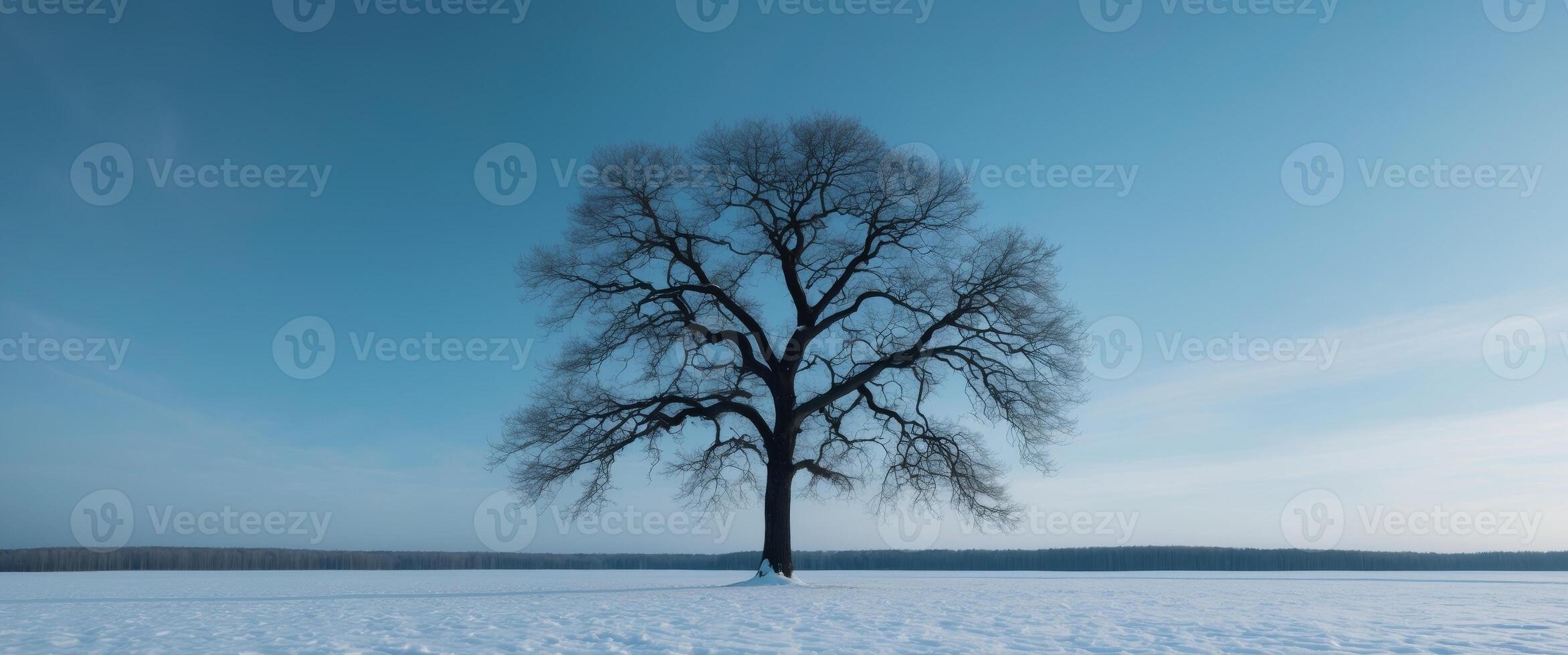 Lone tree standing in a snowy landscape during winter season with clear blue sky photo